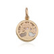 9K Mother of Pearl Gold Pendant