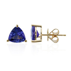 14K AAA Tanzanite Gold Earrings (CIRARI)