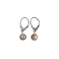 Petrified Coral Silver Earrings