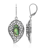 Abalone Shell Silver Earrings (Art of Nature)