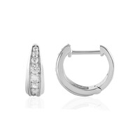 Zircon Silver Earrings (de Melo)