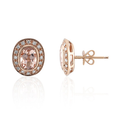 10K AAA Morganite Gold Earrings