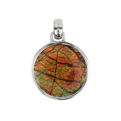 Ammolite Silver Pendant