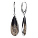 Petrified Palm Wood Silver Earrings