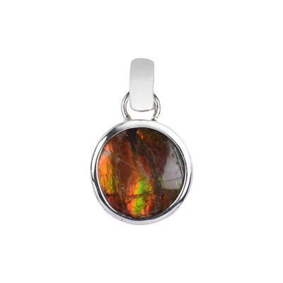 Ammolite Silver Pendant