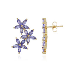 Tanzanite Silver Earrings