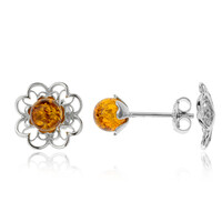 Baltic Amber Silver Earrings