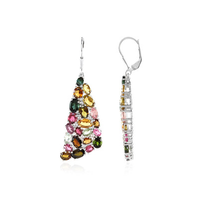 Fancy Tourmaline Silver Earrings (SAELOCANA)