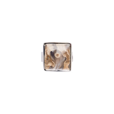 Petrified Palm Wood Silver Ring