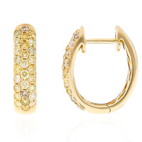 14K SI2 Fancy Diamond Gold Earrings (CIRARI)