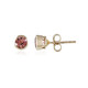 9K Nigerian Pink Tourmaline Gold Earrings (Adela Gold)