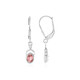 Fancy Tourmaline Silver Earrings