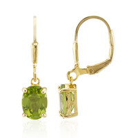 Burmese Peridot Silver Earrings