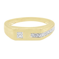 14K SI1 (G) Diamond Gold Ring