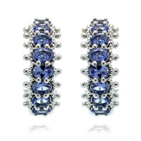 Tanzanite Silver Earrings (Dallas Prince Designs)