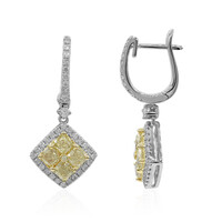 18K SI2 Yellow Diamond Gold Earrings (CIRARI)