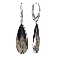 Petrified Palm Wood Silver Earrings