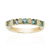 9K Nigerian Mint Green Beryl Gold Ring