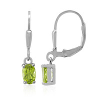 Burmese Peridot Silver Earrings