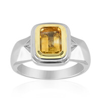 Citrine Silver Ring (Remy Rotenier)