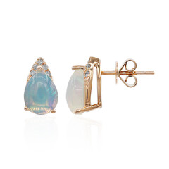 10K AAA Welo Opal Gold Earrings