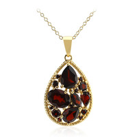 Garnet Silver Necklace