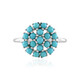 Sleeping Beauty Turquoise Silver Ring