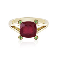 9K Bemainty Ruby Gold Ring (Adela Gold)