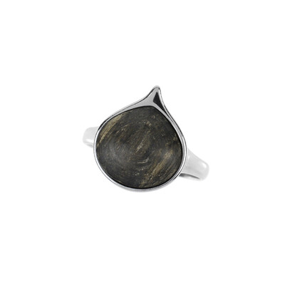 Black Oak Silver Ring (dagen)