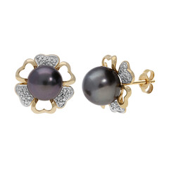 14K Tahitian Pearl Gold Earrings