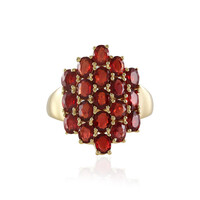 Tanzanian Ruby Silver Ring