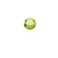 Peridot 1,615 ct