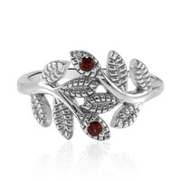 Mozambique Garnet Silver Ring