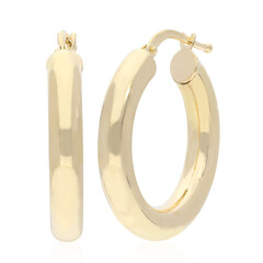 9K Gold Earrings