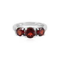 Mozambique Garnet Silver Ring