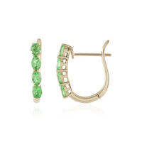 9K Tsavorite Gold Earrings