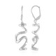 Zircon Silver Earrings (MONOSONO COLLECTION)