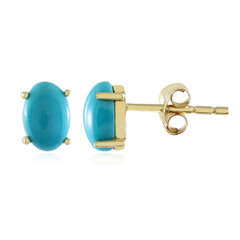 9K Sleeping Beauty Turquoise Gold Earrings