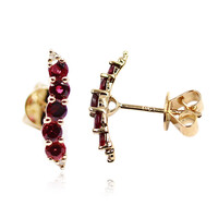 18K Noble Red Spinel Gold Earrings