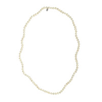 Freshwater pearl Silver Necklace (TPC)