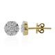 14K IF (D) Diamond Gold Earrings (Annette)