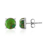 Kingman Green Mojave Turquoise Silver Earrings