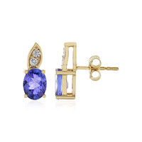 9K Tanzanite Gold Earrings