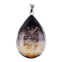 Petrified Palm Wood Silver Pendant