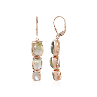 Green Maniry Labradorite Silver Earrings (KM by Juwelo)