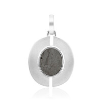 Aletai-Meteorite Silver Pendant