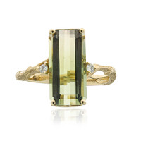 14K Congo Neon Tourmaline Gold Ring (Smithsonian)