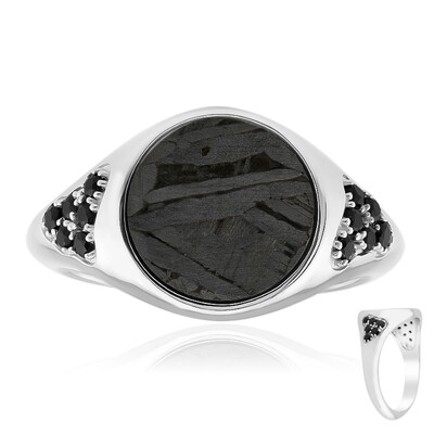 Aletai-Meteorite Silver Ring