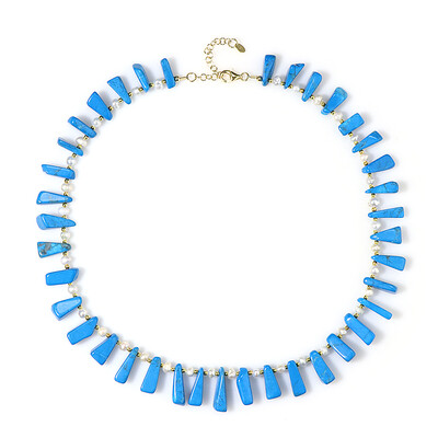 Blue Howlite Silver Necklace (Riya)