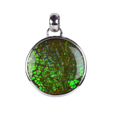 Ammolite Silver Pendant